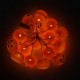 Battery Operated Skeleton Lantern Pumpkin Skull String Light LED for Halloween Party Christmas Decor