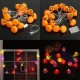 Battery Plug Powered 16 LEDs Pumpkin Multi-color Fairy String Lights For Halloween Christmas Battery Plug Powered 16 LEDs Pumpkin Multi-color Fairy String Lights For Halloween Christmas