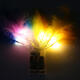 Battery Powered 1.2M 2.2M Colorful Feather Shaped Warm White Indoor Fairy String Light For Christmas