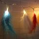 Battery Powered 1.2M 2.2M Colorful Feather Shaped Warm White Indoor Fairy String Light For Christmas