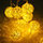 Yellow5 