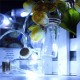Battery Powered 20 LED Wishing Bottle Fairy String Light Xmas Garden Wedding Party Decor Battery Powered 20 LED Wishing Bottle Fairy String Light Xmas Garden Wedding Party Decor