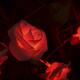 Battery Powered 20LEDs Red Purple Rose Flower Indoor Fairy String Light for Christmas Wedding Patio