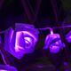 Battery Powered 20LEDs Red Purple Rose Flower Indoor Fairy String Light for Christmas Wedding Patio Battery Powered 20LEDs Red Purple Rose Flower Indoor Fairy String Light for Christmas Wedding Patio