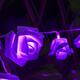 Battery Powered 20LEDs Red Purple Rose Flower Indoor Fairy String Light for Christmas Wedding Patio