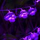 Battery Powered 20LEDs Red Purple Rose Flower Indoor Fairy String Light for Christmas Wedding Patio Battery Powered 20LEDs Red Purple Rose Flower Indoor Fairy String Light for Christmas Wedding Patio
