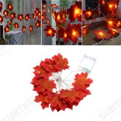 Battery Powered 2.3M 20LEDs Warm White Pure White Fall Leaves Indoor Fairy String Light for Party Battery Powered 2.3M 20LEDs Warm White Pure White Fall Leaves Indoor Fairy String Light for Party