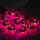 Pink5 