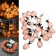 Battery Powered Warm White Metal Pineapple Shaped Indoor LED Fairy String Light for Christmas Party Christmas Decorations Clearance Christmas Lights Battery Powered Warm White Metal Pineapple Shaped Indoor LED Fairy String Light for Christmas Party Christmas Decorations Clearance Christmas Lights