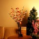 Battery Supply 20LED Bendable Phalaenopsis Flower Branch Tree String Light Christmas Party Decor Battery Supply 20LED Bendable Phalaenopsis Flower Branch Tree String Light Christmas Party Decor
