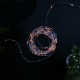 DC5V Smart APP USB 10M 100 LED String Light+WiFi Controller+24Keys IR Remote Control for Holiday Party Decor DC5V Smart APP USB 10M 100 LED String Light+WiFi Controller+24Keys IR Remote Control for Holiday Party Decor