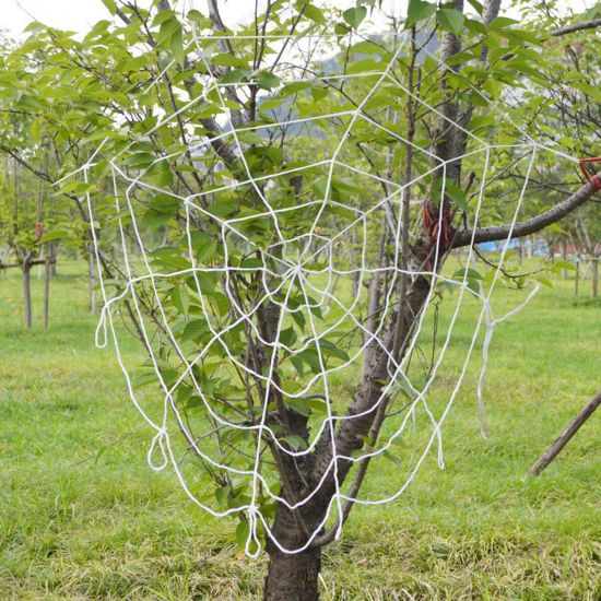 Halloween LED Spider Web String Light Outdoor Horror Party Props Lamp Cobweb Spooky Decor Halloween LED Spider Web String Light Outdoor Horror Party Props Lamp Cobweb Spooky Decor