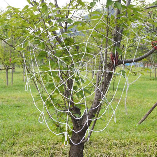 Halloween LED Spider Web String Light Outdoor Horror Party Props Lamp Cobweb Spooky Decor