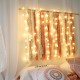 LED Cute Hair Ball Shape String Light Battery Powered Copper Wire Fairy Lights Garden Terrace Party Holiday Decoration Light String LED Cute Hair Ball Shape String Light Battery Powered Copper Wire Fairy Lights Garden Terrace Party Holiday Decoration Light String