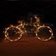 Warm White/Pure White 3M 30LED Copper Wire LED String Lights Lamp 5V