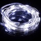 Warm White/White 10M 100LED Copper Wire LED String Lights Lamp 12V