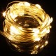 Warm White/White 10M 100LED Copper Wire LED String Lights Lamp 12V