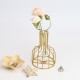 Black/Gold Nordic Style Iron Hydroponic Flower Lantern-shaped Vase Decoration