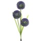 Dandelion LED Optical Fiber Solar Power Outdoor Light Lamp Dandelion LED Optical Fiber Solar Power Outdoor Light Lamp