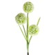 Dandelion LED Optical Fiber Solar Power Outdoor Light Lamp Dandelion LED Optical Fiber Solar Power Outdoor Light Lamp