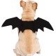 Halloween Black Bat Wings Cute Party Decoration Toys