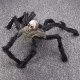 Halloween Party Decoration Skeleton Ghosthead Spider Horrid Scare Scene Toys