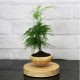 Magnetic Suspended Potted Plant Wood Grain Round LED Indoor Pot Home Office Decoration