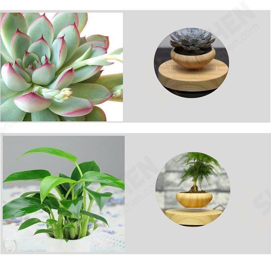 Magnetic Suspended Potted Plant Wood Grain Round LED Indoor Pot Home Office Decoration