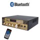 BT309E Amplifier 220V 60W Home Audio High Power Mono Amplifier Amp