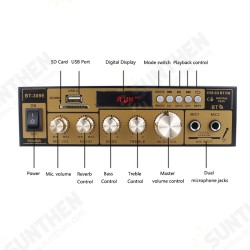 BT309E Amplifier 220V 60W Home Audio High Power Mono Amplifier Amp BT309E Amplifier 220V 60W Home Audio High Power Mono Amplifier Amp