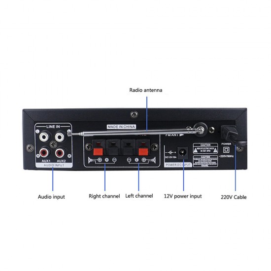 BT309E Amplifier 220V 60W Home Audio High Power Mono Amplifier Amp
