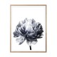 20x30/30x40cm Flower Modern Wall Art Canvas Paintings Picture Home Decor Mural Poster with Frame