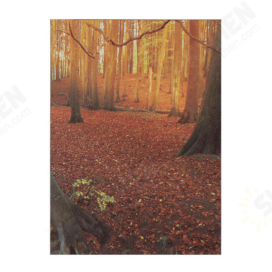 5Pcs Modern Autumn Forest Canvas Print Paintings Poster Wall Art Picture Home Decor Unframed