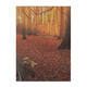 5Pcs Modern Autumn Forest Canvas Print Paintings Poster Wall Art Picture Home Decor Unframed