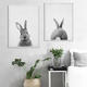 Cute Rabbit Canvas Wall Art Poster Animal Print Paintings Baby Nursery Room Cute Rabbit Canvas Wall Art Poster Animal Print Paintings Baby Nursery Room