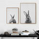 Cute Rabbit Canvas Wall Art Poster Animal Print Paintings Baby Nursery Room Cute Rabbit Canvas Wall Art Poster Animal Print Paintings Baby Nursery Room