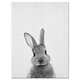 Cute Rabbit Canvas Wall Art Poster Animal Print Paintings Baby Nursery Room