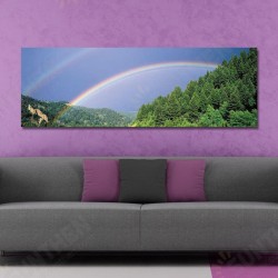 10429 Single Spray Oil Paintings Photography Rainbow Wall Art For Home Decoration 10429 Single Spray Oil Paintings Photography Rainbow Wall Art For Home Decoration