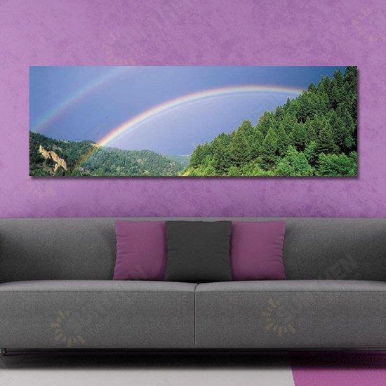 10429 Single Spray Oil Paintings Photography Rainbow Wall Art For Home Decoration