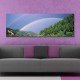 10429 Single Spray Oil Paintings Photography Rainbow Wall Art For Home Decoration