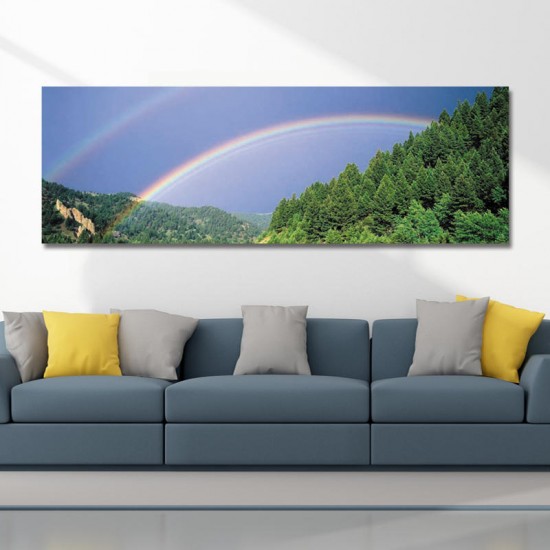 10429 Single Spray Oil Paintings Photography Rainbow Wall Art For Home Decoration