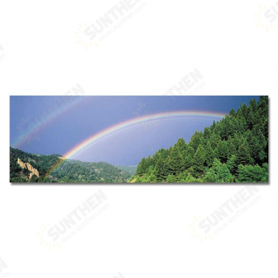 10429 Single Spray Oil Paintings Photography Rainbow Wall Art For Home Decoration