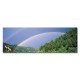 10429 Single Spray Oil Paintings Photography Rainbow Wall Art For Home Decoration