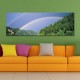 10429 Single Spray Oil Paintings Photography Rainbow Wall Art For Home Decoration