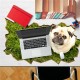 Dog Pet Lawn PAG STICKER 3D Desk Sticker Wall Decals Home Wall Desk Table Decor Gift