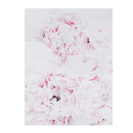 Feather Flower Pink Canvas Nordic Poster Floral Prints Wall Art Painting Decor
