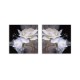 Hand Painted Combination Decorative Paintings Petals Painting Wall Art For Home Decoration