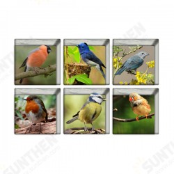 PAG 6pcs 13x13cm Bird Pattern 3D Anti Slip Waterproof Bathtub Sticker PAG 6pcs 13x13cm Bird Pattern 3D Anti Slip Waterproof Bathtub Sticker