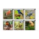 PAG 6pcs 13x13cm Bird Pattern 3D Anti Slip Waterproof Bathtub Sticker