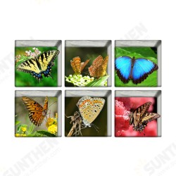 PAG 6pcs 13x13cm Butterfly Pattern 3D Anti Slip Waterproof Bathtub Sticker PAG 6pcs 13x13cm Butterfly Pattern 3D Anti Slip Waterproof Bathtub Sticker